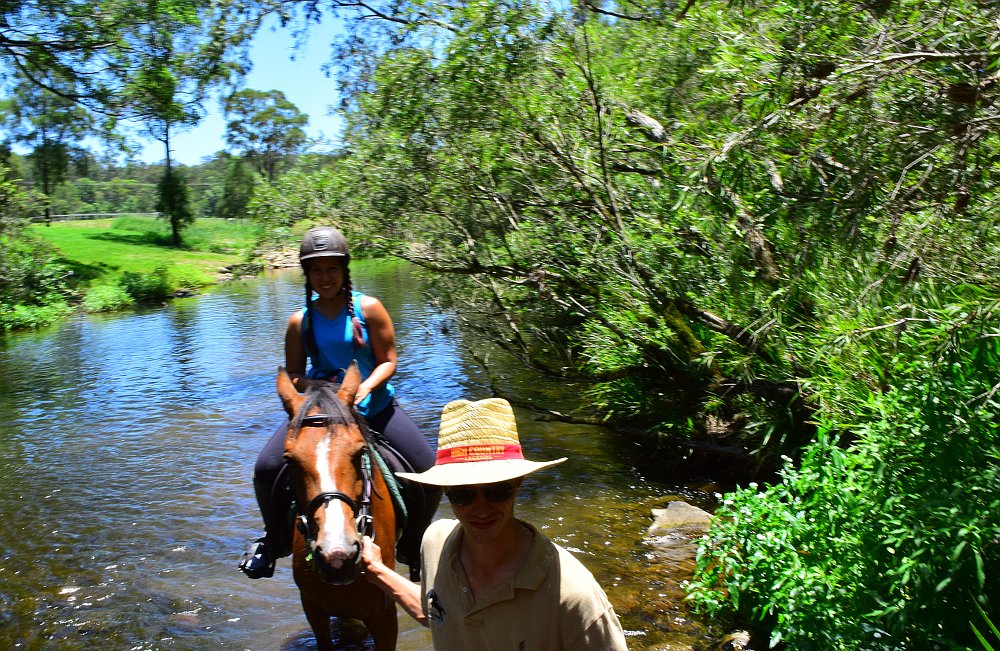 A scenic ride is a great way to see the natural beauty of the Gold Coast Hinterland 