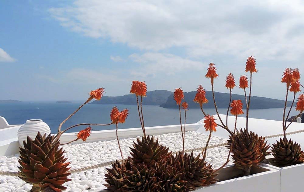 Santorini, the perfect, photogenic backdrop