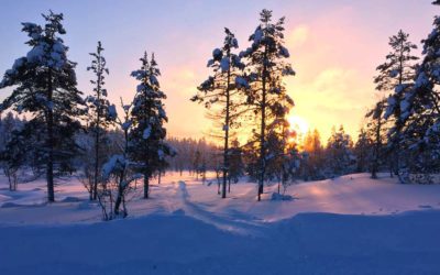 A weekend in the Finnish Lapland