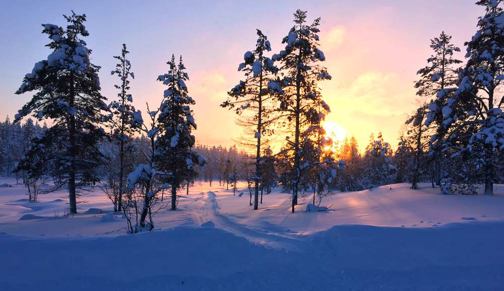 A weekend in the Finnish Lapland