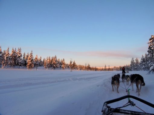 Glass Igloos of Finland - Travel-Ling