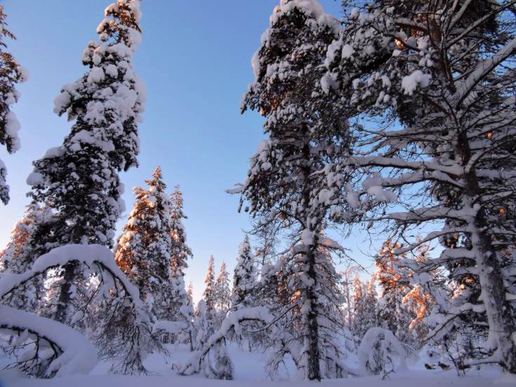 Winter wonderland in Finnish Lapland