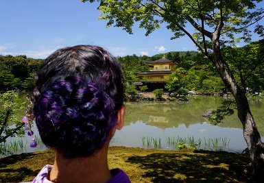 Where to visit in Kyoto