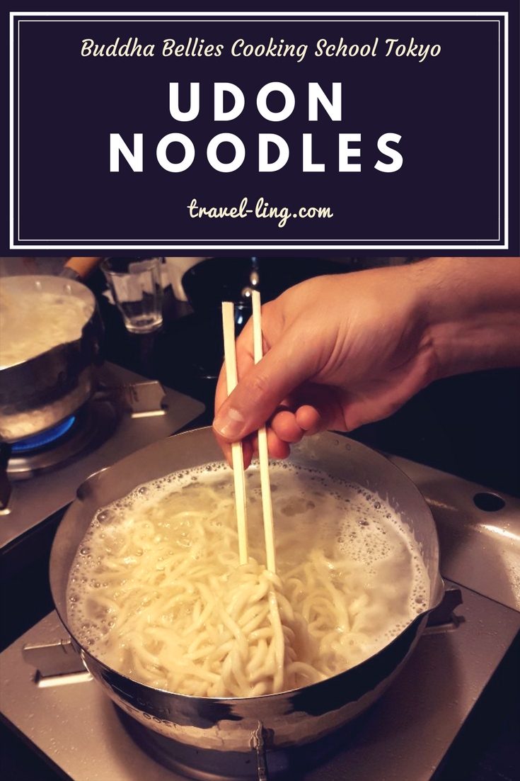 Pinterest Udon Noodles