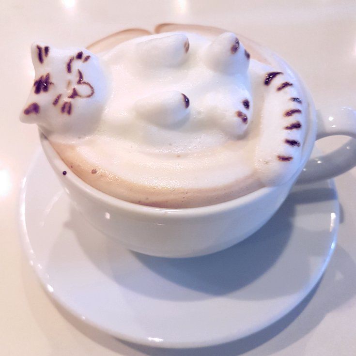 3d latte art in Japan